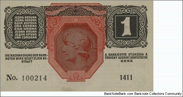 Banknote from Austria year 1916