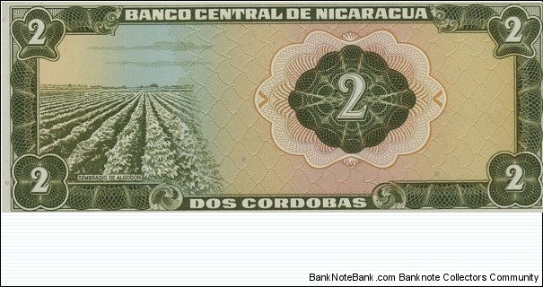 Banknote from Nicaragua year 1972