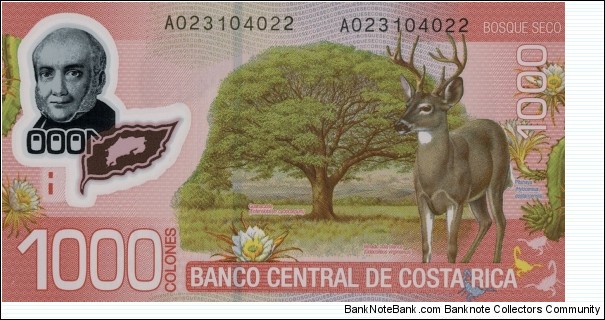 Banknote from Costa Rica year 2009