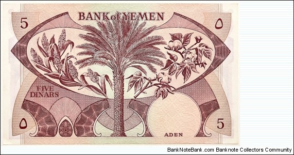 Banknote from Yemen year 1984