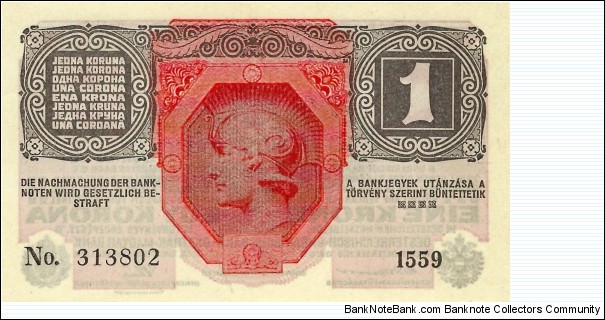 Banknote from Austria year 1919