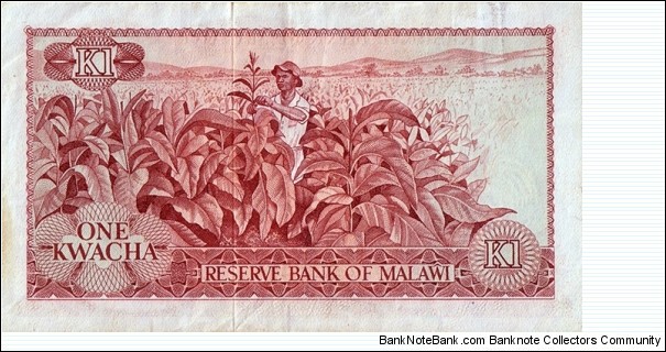 Banknote from Malawi year 1975