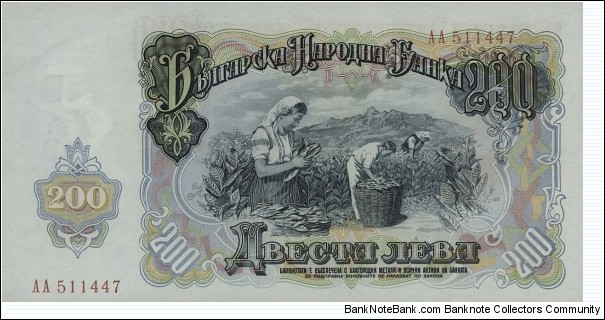 Banknote from Bulgaria year 1951