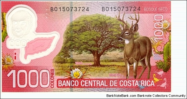 Banknote from Costa Rica year 2013