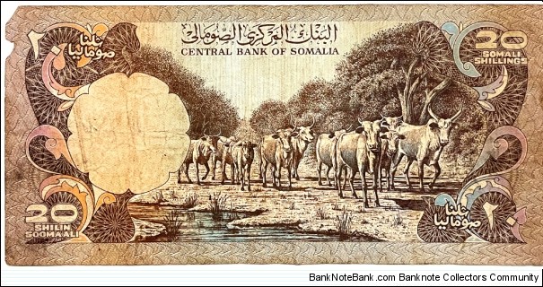 Banknote from Somalia year 1980