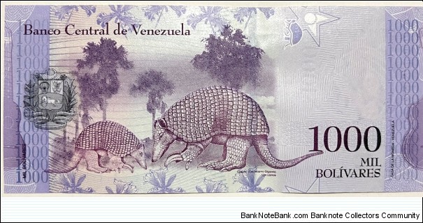 Banknote from Venezuela year 2017