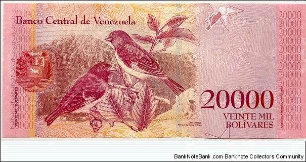 Banknote from Venezuela year 2017