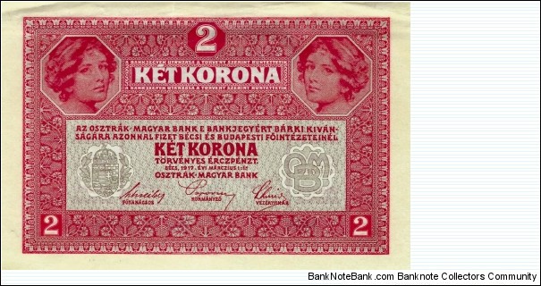 Banknote from Austria year 1919