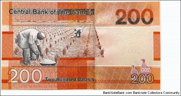 Banknote from Gambia year 2019