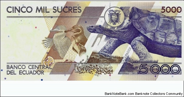 Banknote from Ecuador year 1999